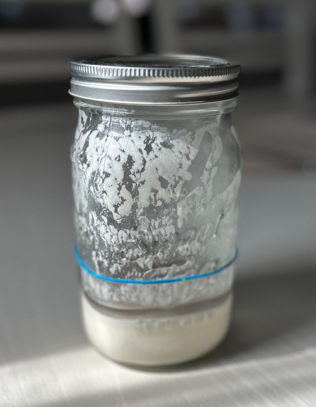 Reviving my Sourdough&nbsp;Starter