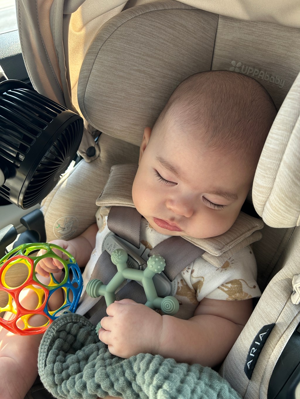 Traveling: 3 Month&nbsp;Old